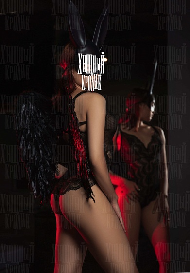 Фото №528 Ива